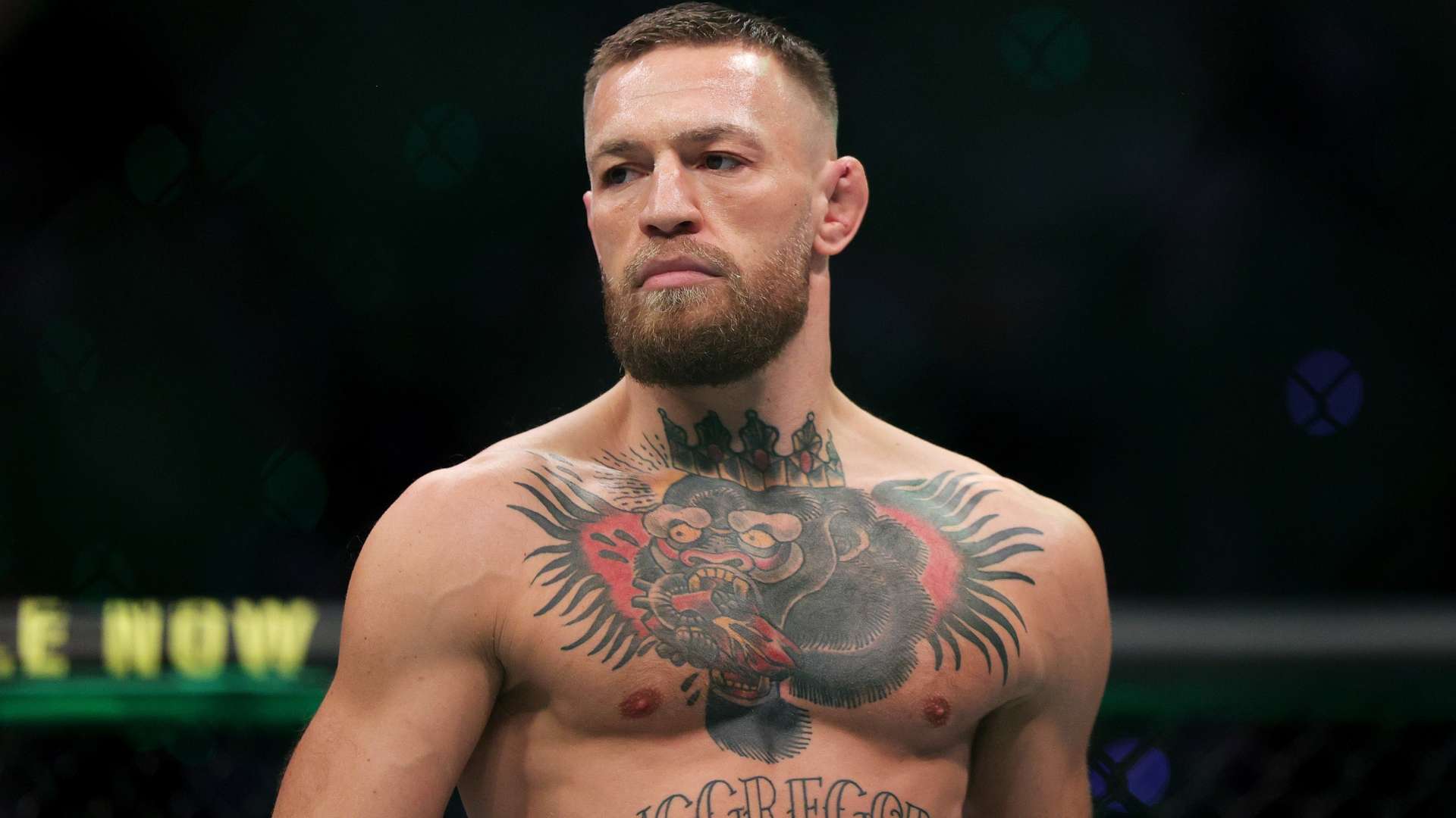 以其快速 以其快速